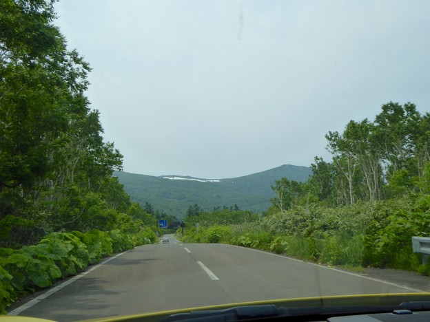 P1040411
