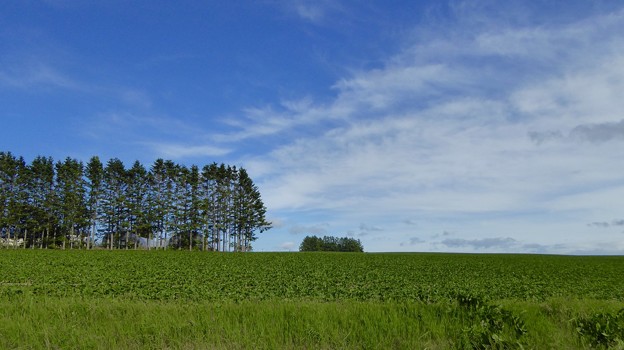 P1040575