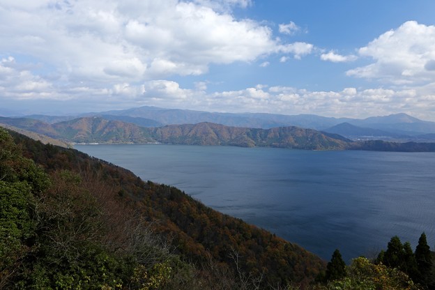 1S7A6247