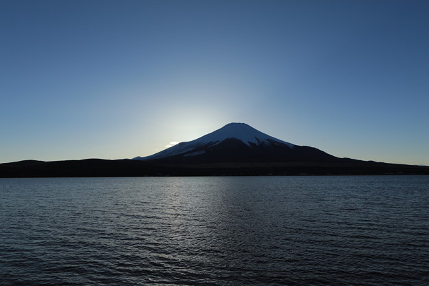 1S7A8580