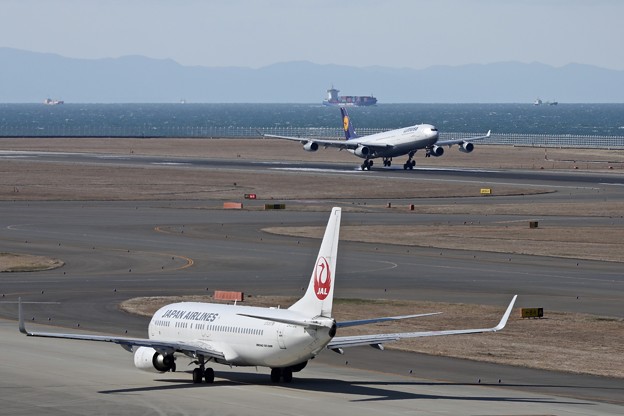 1S7A3129