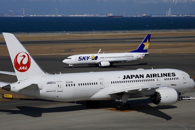 1S7A3531