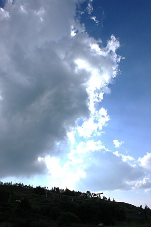 IMG_9764