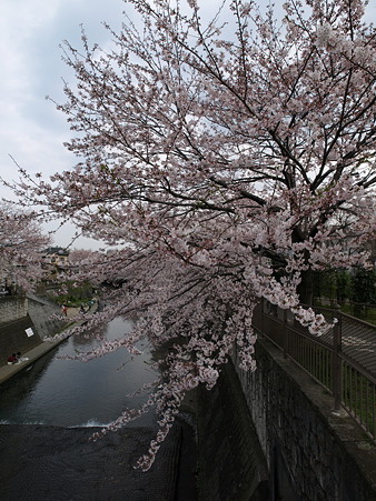 恩田川11