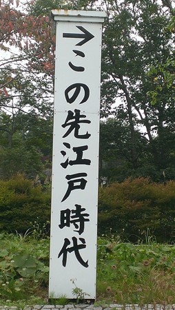 IMAG0620