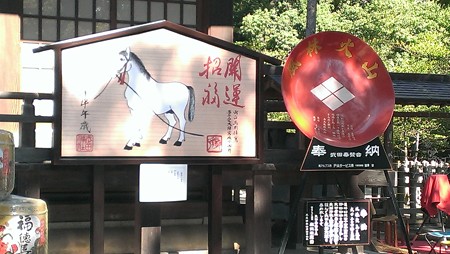 IMAG0693