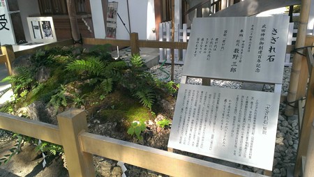 IMAG0695