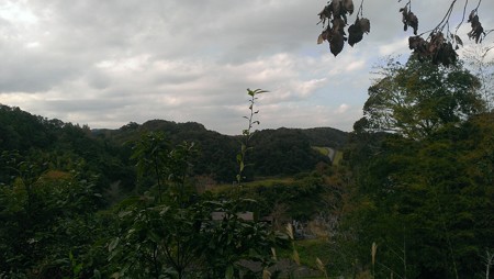 IMAG0703