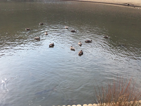 みかも山公園