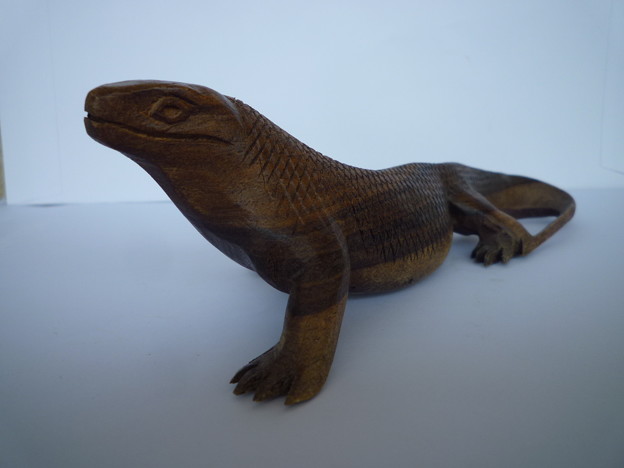 ﾏｲｸ･ﾀｲｿﾝを連想　ｺﾓﾄﾞﾄﾞﾗｺﾞﾝ Komodo dragon,Indonesia