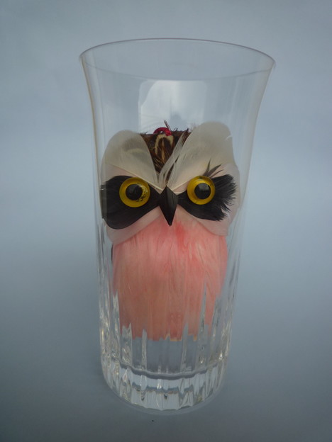 窮屈でちょっと不機嫌　An owl looks displeasd in a glass