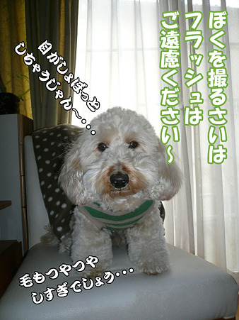 くーかい家族記念日二周年 こぼれ写真 1