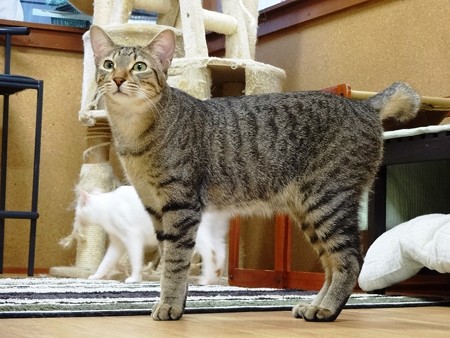 マサキ「小顔に」