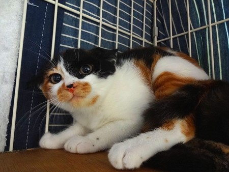 ミヤ「まったく、やめてよね！」