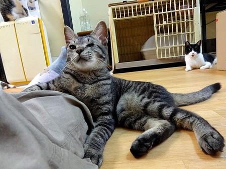 タイム「幸せな気持ちになるんだ」