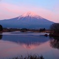 1月28日田貫湖からの夕方富士山～ちょっとピンク(^ ^)
