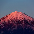 2月3日富士宮からの夕方富士山～綺麗な紅富士でした(^ ^)