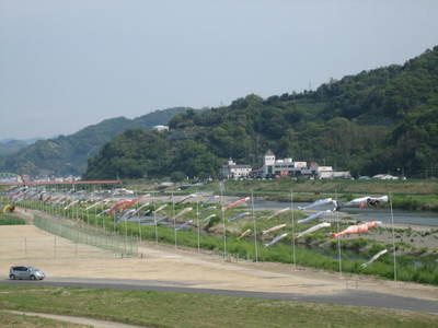 有田市鯉のぼり２