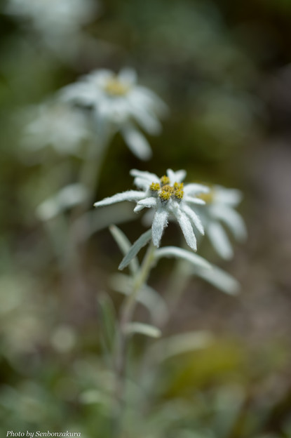 写真: DSC_9451