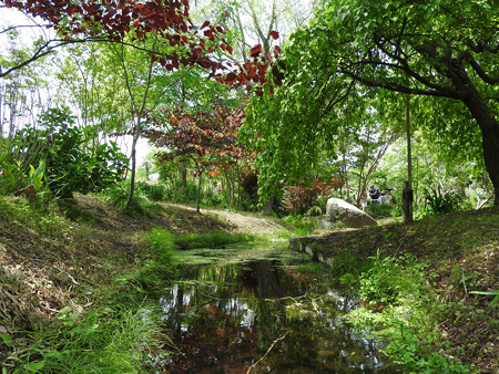 京成バラ園 睡蓮の池01