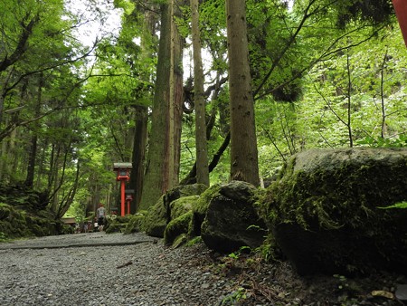 貴船神社 奥宮03 参道
