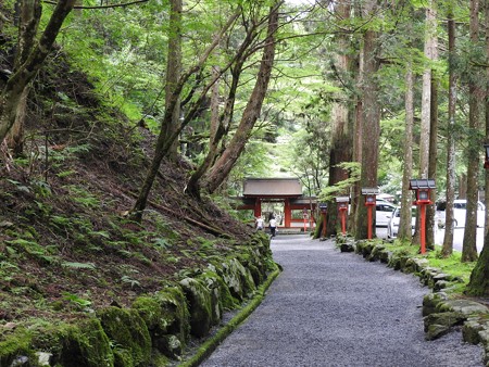 貴船神社 奥宮05 参道