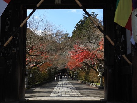 石山寺11 東大門