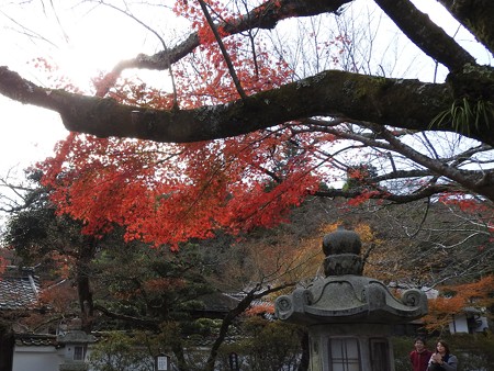 石山寺16 いい感じの紅葉