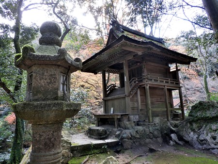 石山寺27 龍蔵権現社3 口を開けた龍の顔