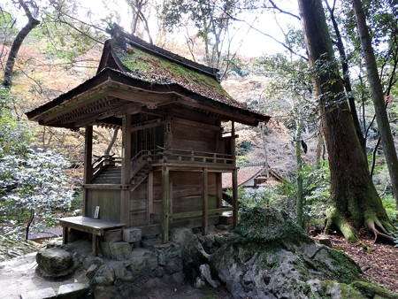 石山寺28 龍蔵権現社4