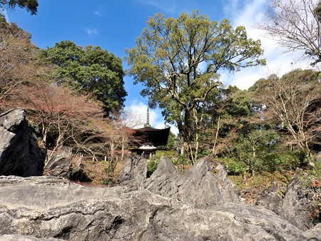 石山寺40 珪灰石の上に見えるは多宝塔