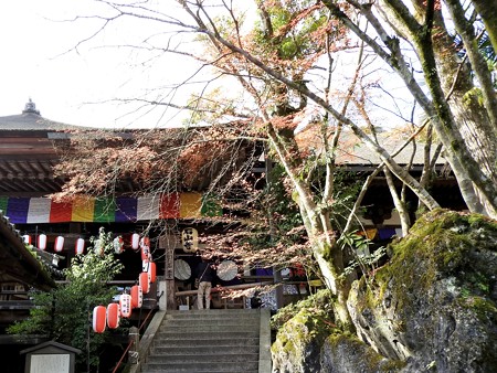 石山寺42 本堂