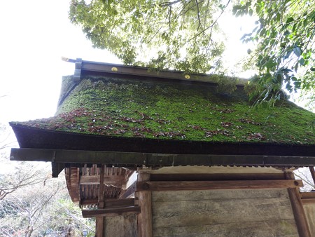 石山寺54 三十八所権現社5 3つの菊花紋