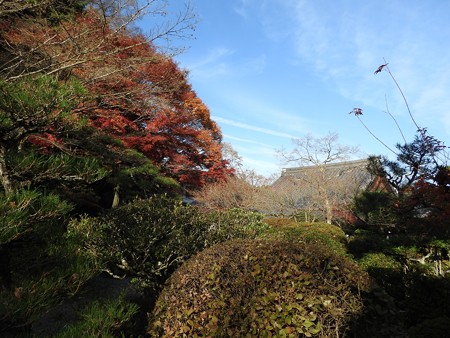 石山寺115