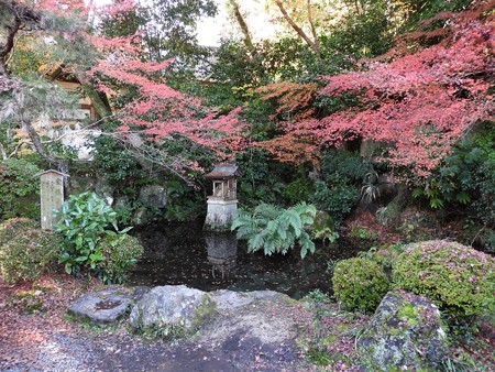石山寺117 金龍竜王社2