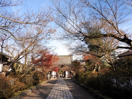 石山寺121 帰りの参道1