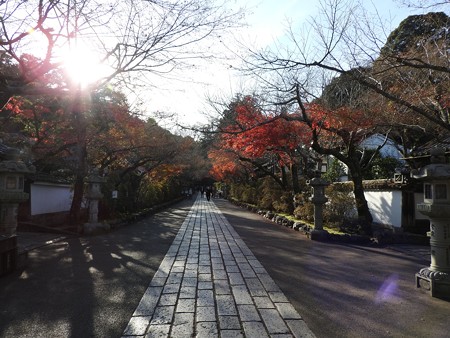 石山寺124 帰りの参道4