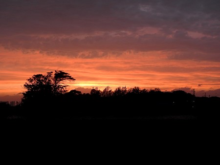 夕景1