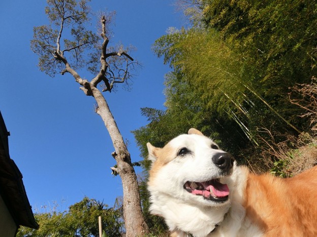 青空・立春