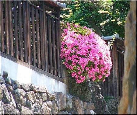 ナナどこ？