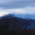 Photos: 年末の富士山昼間