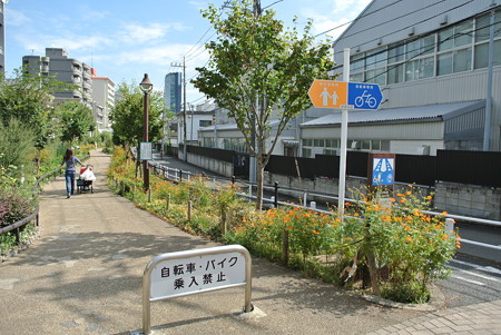 緑道にて