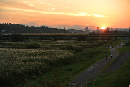 南武線武蔵野線／多摩川橋梁