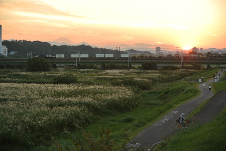南武線武蔵野線／多摩川橋梁
