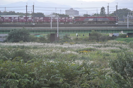南武線武蔵野線／多摩川橋梁