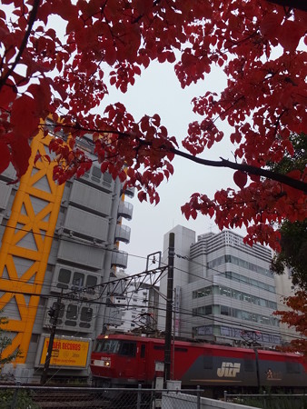 山手貨物線／原宿－渋谷