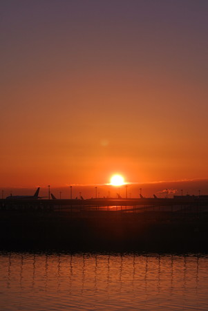 京浜島つばさ公園より