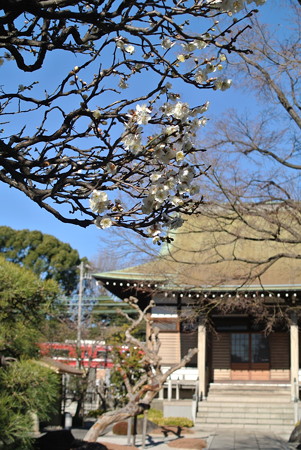 良泉寺／神奈川新町