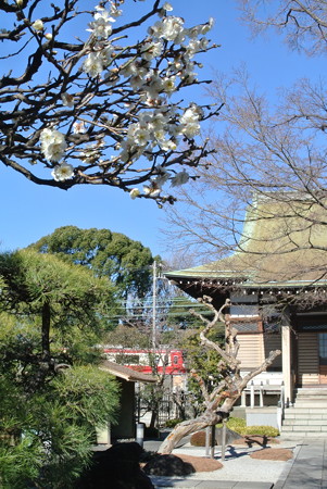 良泉寺／神奈川新町
