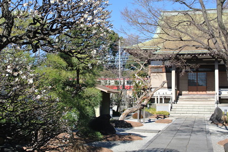 良泉寺／神奈川新町